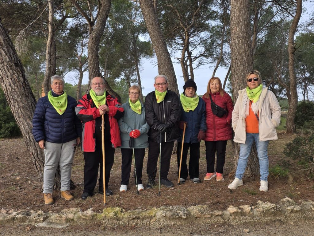 whatsapp image 2026 03 17 at 15 36 13 high[1]